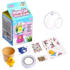 Эврики Набор для опытов Живой аквариум-флорариум, утёнок 5185633