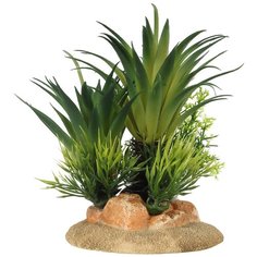 Растение для аквариумов AQUA DELLA "Sago Palm", 16x10x13.5см (Бельгия)