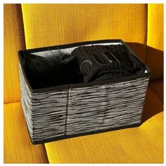 Коробка для вещей в прихожую, гардеробную Liverpool (25х15х14 см) Homsu