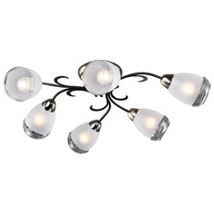 Люстра потолочная Lussole OAKLAND GRLSP-9952 6x6Вт E14