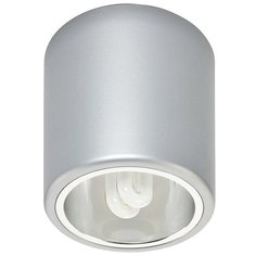 Светильник потолочный Nowodvorski DOWNLIGHT SILVER M 4868