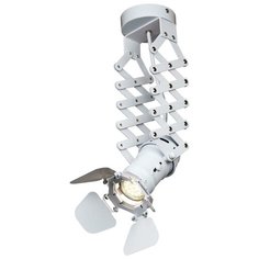 Спот Cinema LOFT3096-S