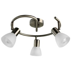Спот PARRY A5062PL-3AB Arte Lamp
