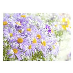 Фотообои Симфония К-135 "Чудное мгновение ", размер 2800*2000мм