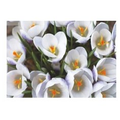 Фотообои Симфония К-057 "Утренняя весна", размер 2800*2000мм