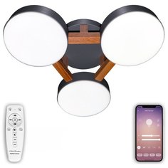 Управляемая светодиодная люстра с пультом Natali Kovaltseva LED LAMPS 81328 500 мм 80 Вт