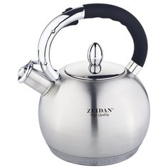 Чайник со свистком ZEIDAN Z-4160 3,2 л