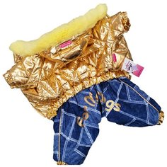FOR MY DOGS комбинезон для собак золото/синий для девочек FW667-2019 F (12Chh)