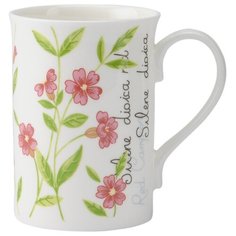 Кружка Price&Kensington Botanic, 300 мл, розовая (P_0043.007pk)