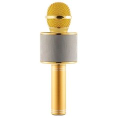 Беспроводной караоке-микрофон WS-858 (золотой) Belsis