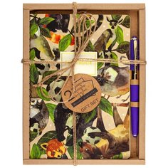 Набор подарочный "лесной футбол" (две тетради BV и ручка) Bruno Visconti