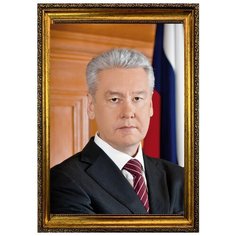 Портрет Собянин С.С., формат А-4 (210x297 мм), багетная рамка под золото Mega Art