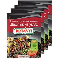 Приправа для гриля и шашлыка Шашлык на углях KOTANYI, пакет 30г (x4)