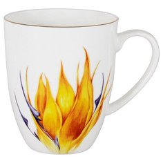 Кружка Anna Lafarg "Strelitzia", 0.4 л, в подарочной упаковке (AL-605S-E11)
