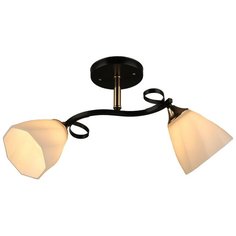 Люстра потолочная 2*60Вт E27 MD.3215-2-S BK Imex