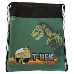 Мешок для обуви №1 School "T-Rex", 350x420 мм
