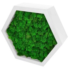 Декоративная полка "Сота" белая со мхом серия PINE р. 30х26х8,5 см Oktaur
