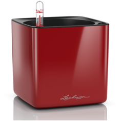 Кашпо LECHUZA CUBE Glossy 14 с автополивом 14x14x13.5 см красный блестящий