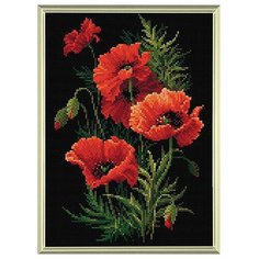 AM0007 Набор алмазной мозаики Риолис Маки 27*38см