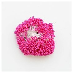 Тычинки, 2 пучка (малиновый) АЙРИС пресс