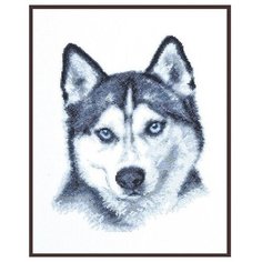 02.004 Набор для вышивания Палитра Взгляд хаски 21х27 см