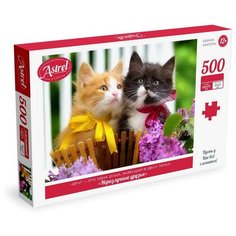 Пазл Astrel Милота Неразлучные друзья 500 элементов Origami
