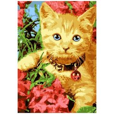 Набор для творчества LORI Картина по номерам "Рыжее счастье"