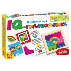 Головоломка. Талантливое поколение. IQ-головоломка Дрофа Медиа