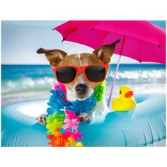 Набор для творчества Рыжий кот Холст с красками по номерам Собака на отдыхе (20цветов) 30х40 см