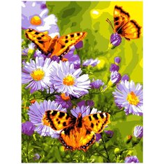 Набор для творчества LORI Картина по номерам "Летнее настроение"