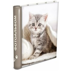 Фотоальбом Veld co 64476 30 "магнитных"листов 23X28см Puppies and kittens