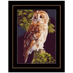 PN-0146814 Набор для вышивания LanArte Сова 36x38см