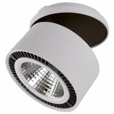 Встраиваемый спот Lightstar Forte Inca 213840