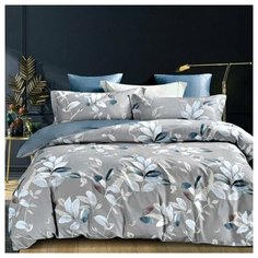 Asabella 1546-6
