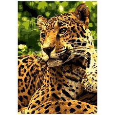 Набор для творчества LORI Картина по номерам "Ягуар"