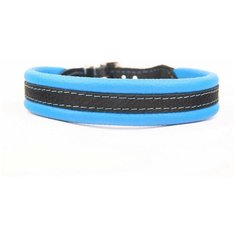 Ошейник для собак ZOOLESZCZ "Soft Plus", голубой, 45х2см