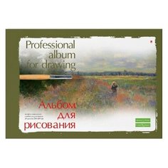 Альбом для рисования А4 20 Л. на склейке серия "профессиональная" 2 ОБЛ. Альт