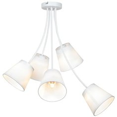 Люстра потолочная Lussole LAFAYETTE GRLSP-8267 5x10Вт E27