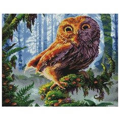 Алмазная мозаика Paintboy Original GF 561 Сова 40х50см