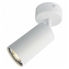 Спот Arte Lamp 3216 A3216PL-1WH