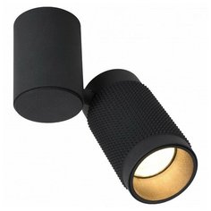 Спот Favourite Kinescope 2452-1U