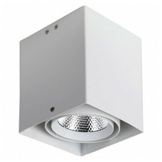 Накладной светильник Favourite Flashled 1986-1U