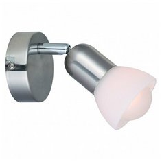 Спот Arte Lamp Falena A3115AP-1SS