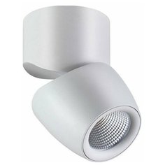 Спот Novotech Zeus 357868