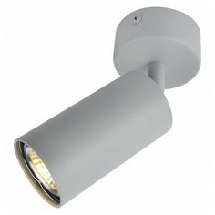Спот Arte Lamp 3216 A3216PL-1GY