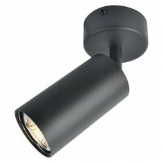 Спот Arte Lamp 3216 A3216PL-1BK