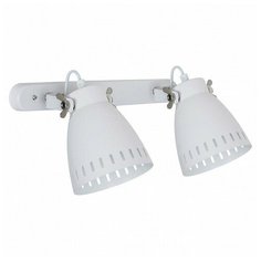 Спот Arte Lamp Luned A2214AP-2WH