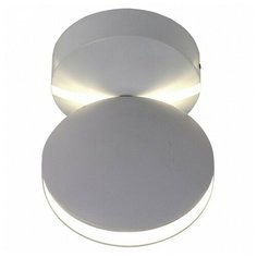 Светильник на штанге Favourite Collare 2000-1W