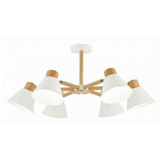 Люстра на штанге EVOLUCE Buve SLE103702-06