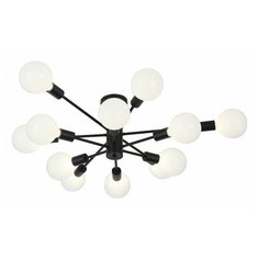 Люстра на штанге EVOLUCE Ano SL419.402.12